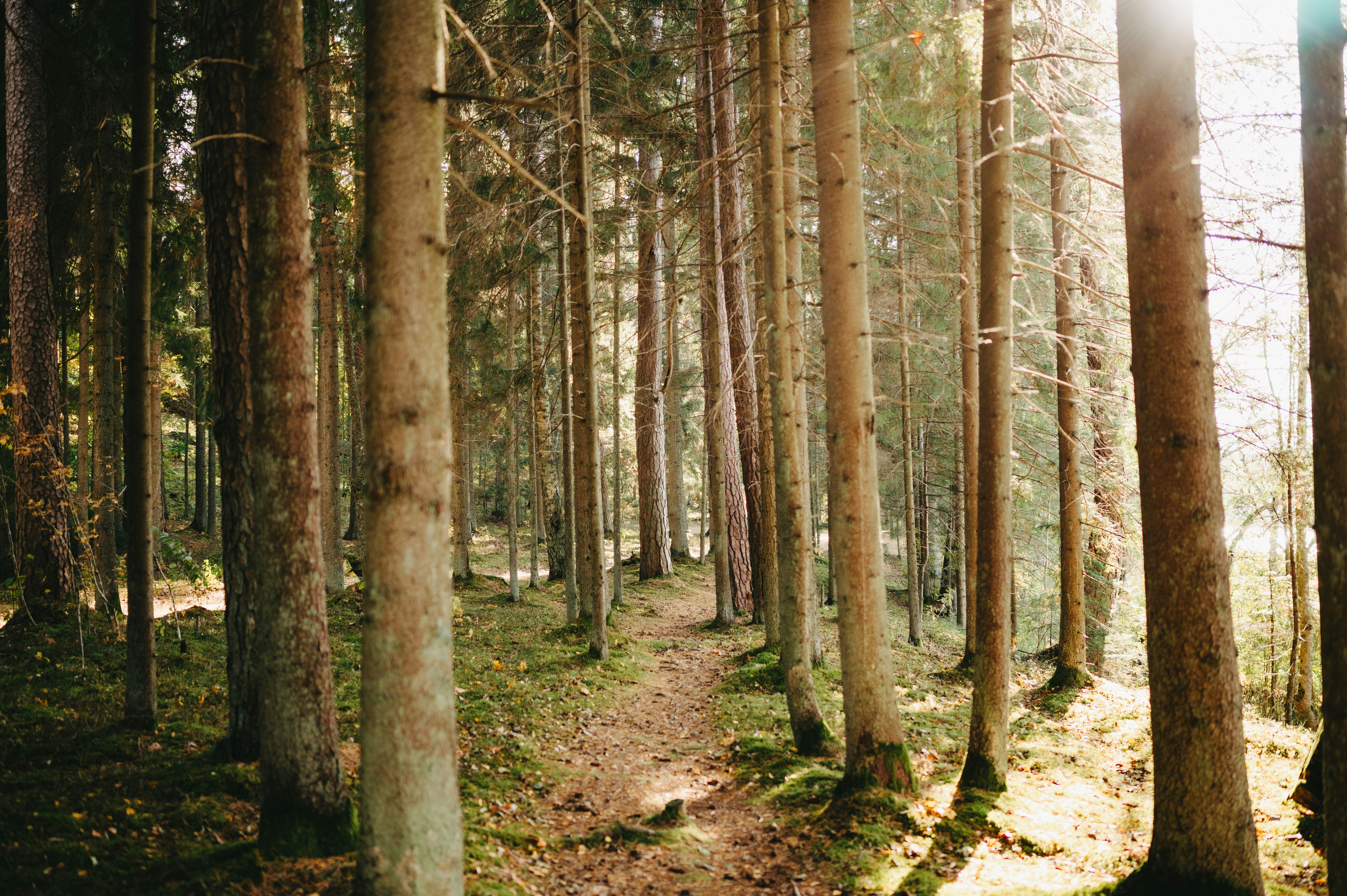 Unser Erbe. <br>Unsere Natur. <br>Quarten.