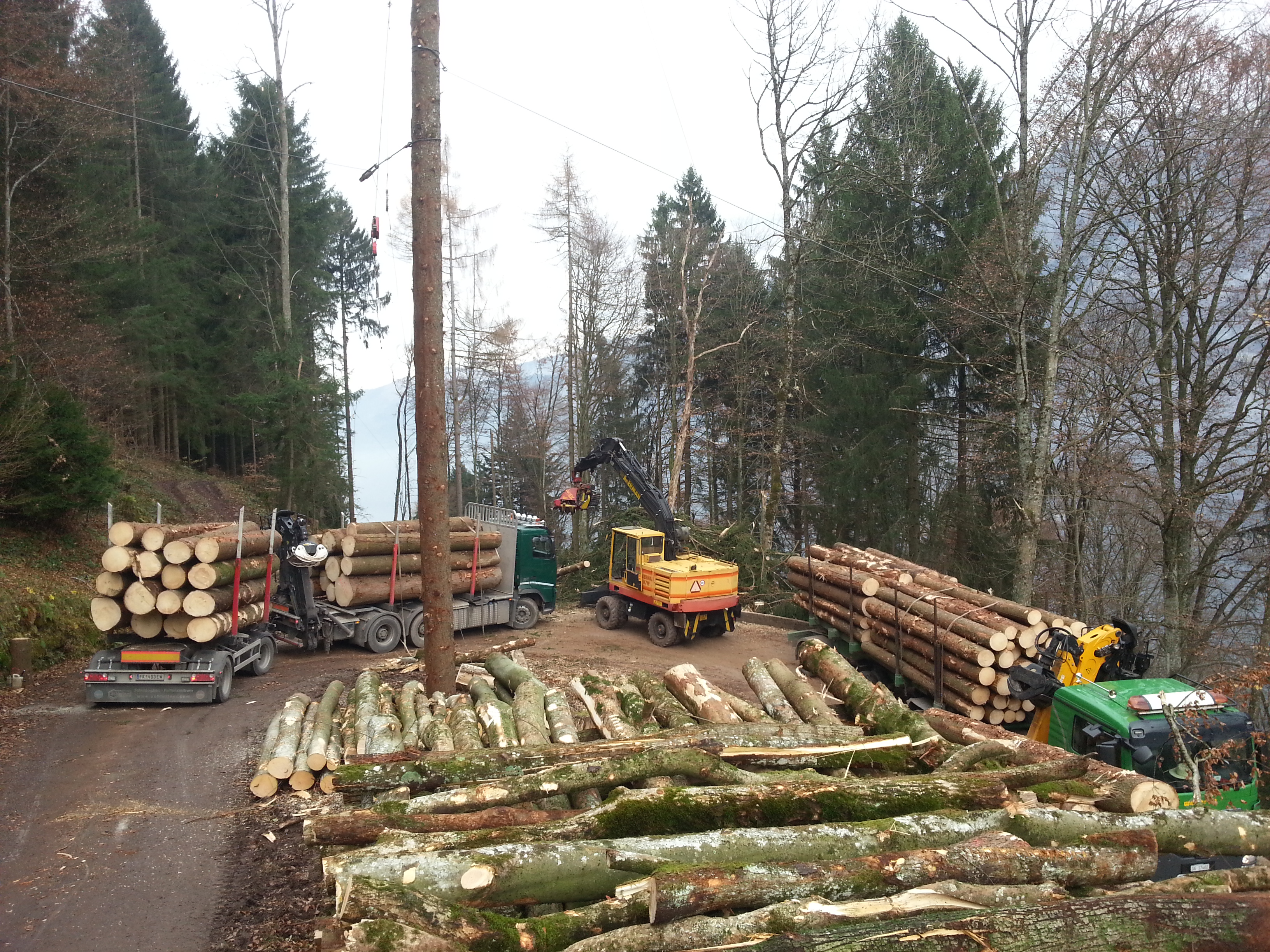 Ansprechpartner Forstarbeiten